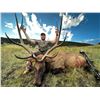 Image 3 : Wild New Mexico Outfitters LLC -Double Tag Dream Hunt: New Mexico Elk & Mule Deer Combo