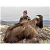 Image 3 : New Zealand Hunting Adventures - Red Stag / Himalayan Bull Tahr