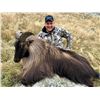 Image 4 : New Zealand Hunting Adventures - Red Stag / Himalayan Bull Tahr