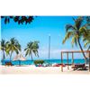 Image 3 : Private Island Escape - 5 Night All Inclusive for 10 Guests