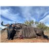 Image 10 : South Africa - Tally- Ho Hunting Safari's