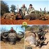 Image 2 : South Africa - Tally- Ho Hunting Safari's