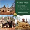 Image 7 : South Africa - Tally- Ho Hunting Safari's