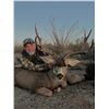 Image 2 : Señora Deer Hunting  - Trophy Mule Deer Hunt