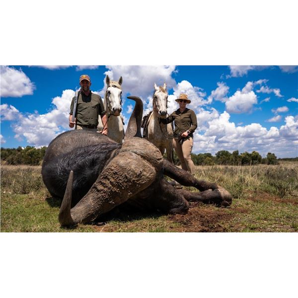 Cape Buffalo Hunt - South Africa  - Jannie Otto Safaris