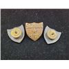 Image 2 : 3 VTG School Patrol Pins