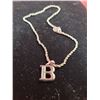 Image 1 : 925 Sterling Rope Chain & Letter B Pendant