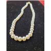 Image 1 : Pearl Necklace