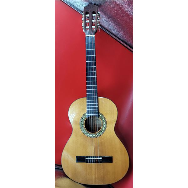 Denver DC34NL Acoustic Guitar