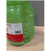 Image 2 : Gordon Choice Lemon Juice 3.8L - Lot of 2
