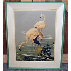 Vintage Flamingo Print By Roger Tory Peterson - Fr