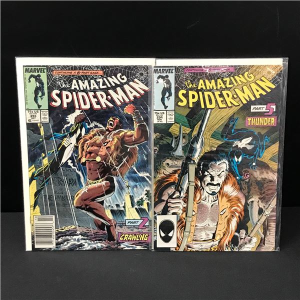 LOT OF 2 THE AMAZING SPIDERMAN COMICS #293-294 - MARVEL COMICS