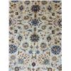 Image 6 : All over design Fine Texture Sheepwool Vegetables dye 100% Authentic Hand Knotted Wool Persian Rug H