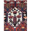 Image 5 : Sheepwool Vegetables dye 100% Authentic Hand Knotted Wool Persian Rug Handmade in Iran (9.8' Ã[x=#82