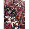 Image 7 : Sheepwool Vegetables dye 100% Authentic Hand Knotted Wool Persian Rug Handmade in Iran (9.8' Ã[x=#82