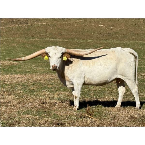 PROFIT PURE COMMANDMENT