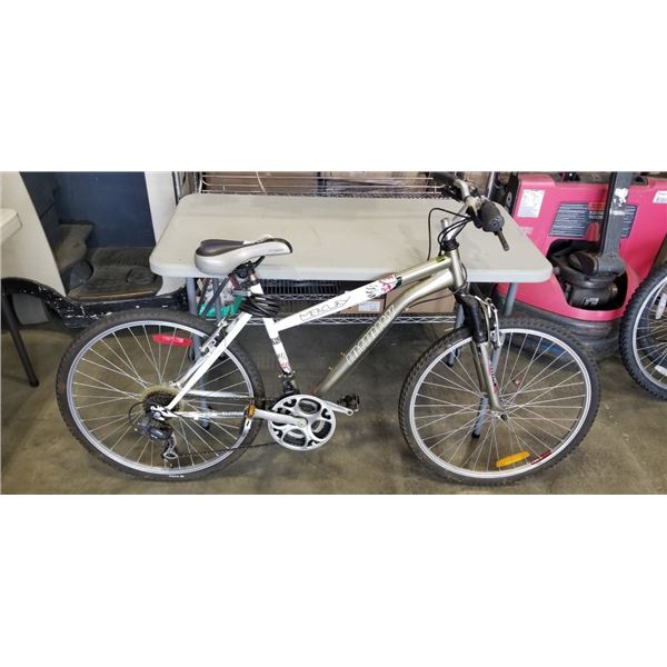 SILVER INFINITY BIKE