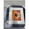 Image 11 : LOT OF FRAMED ARTWORK