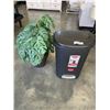Image 1 : RUBBERMAID GARBAGE CAN AND ARTIFICIAL PLANT