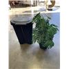 Image 3 : RUBBERMAID GARBAGE CAN AND ARTIFICIAL PLANT