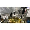 Image 5 : FT SYSTEMS Y2014 PRODUCT CONTROL. CAN X-RAY WITH AUTO KICK OUT, WITH CONVEYOR. APPROX 11' LONG,