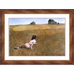 "Christinas World" Andrew Wyeth