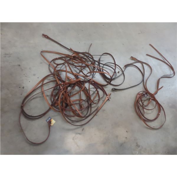 10 New Split Reins