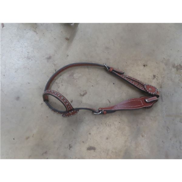 20 New Bridles