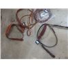 Image 4 : 7 New Bridles and 5 New Split Reins