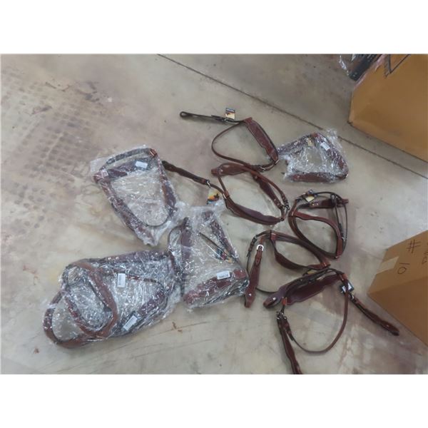 10 New Bridles