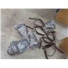 Image 1 : 10 New Bridles