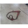 Image 3 : 10 New Bridles
