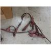 Image 4 : 10 New Bridles