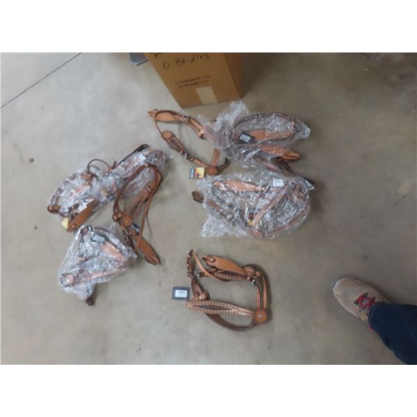 10 New Bridles