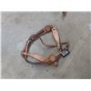 Image 3 : 10 New Bridles