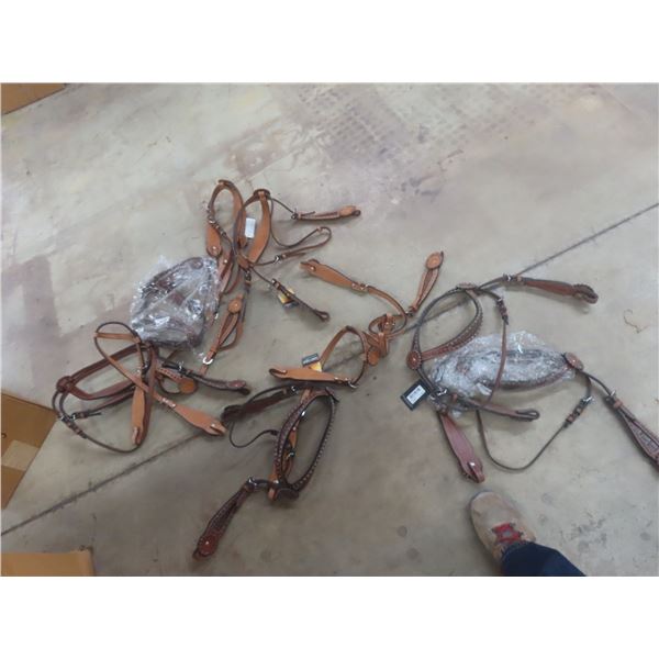10 New Bridles