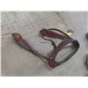 Image 2 : 10 New Bridles