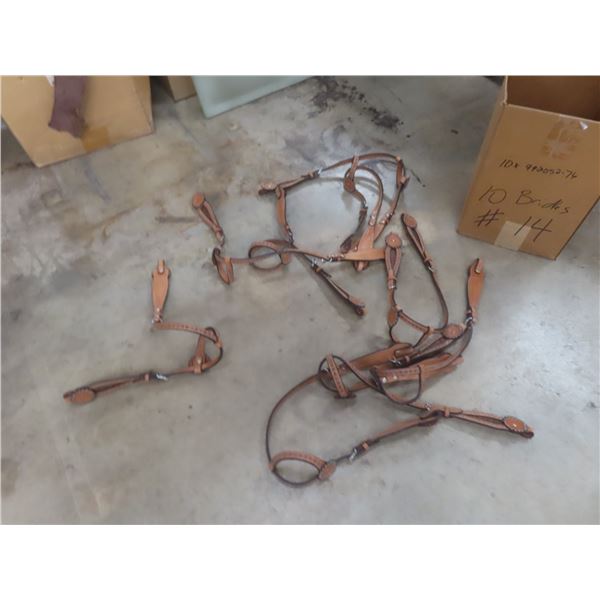 10 New Bridles