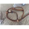 Image 4 : New: 10 Bridles and 4 Nose Bands 