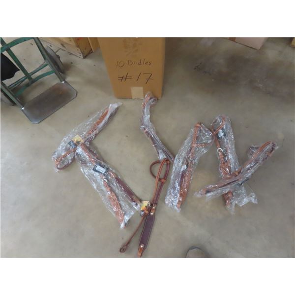 10 New Bridles