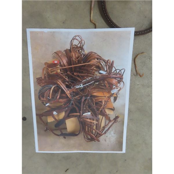 New Assorted Tack Lot: Bridles, Back Cinches, Spur Straps, Breast Collars, Training Surcingle