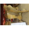 Image 4 : 5 New Wood Saddle Trees – Trail, Cowhorse, and Barrel Style