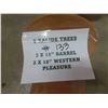 Image 4 : 5 New Ralide Saddle Trees – Barrel, Western, and Pleasure Style