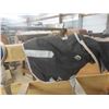 Image 4 : 4 New Large Dog Jackets