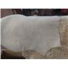 Image 2 : Embossed Dyed Leather – Approx 40 SqFt