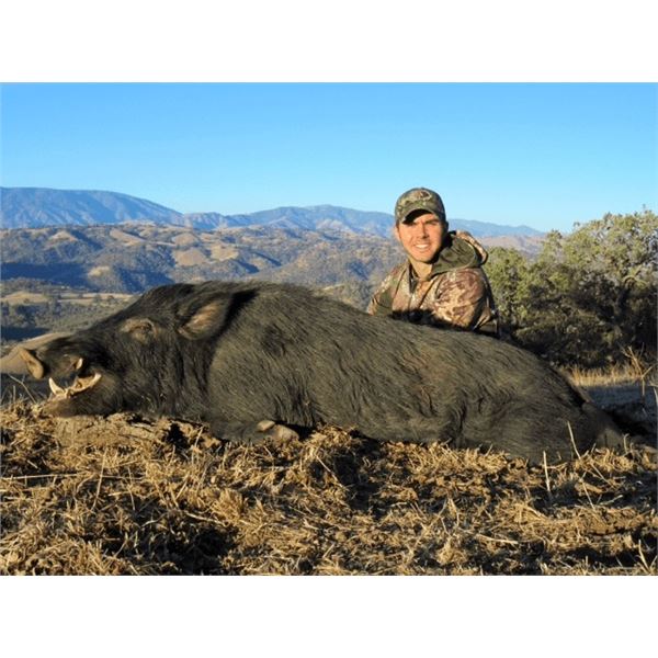 Guided Pig Hunt for Two at Historic Tejon Ranch