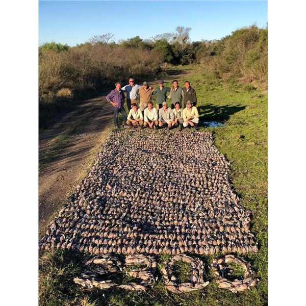 Argentina Mixed-Bag Wingshooting Adventure