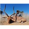 Image 3 : South Africa Plains Game Safari for Two Hunters Mynyati