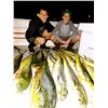 Image 2 : Pinnacle Sportfishing Full Day Charter