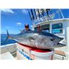 Image 3 : Pinnacle Sportfishing Full Day Charter